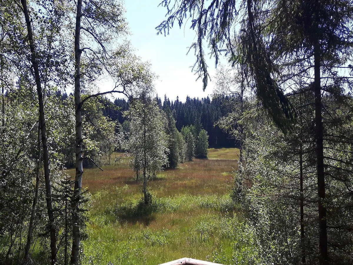 Ferienwohnung Sonnenschein Heimenkirch 0*,  Germany